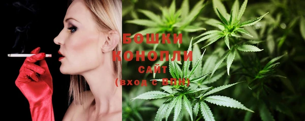 гашик Володарск