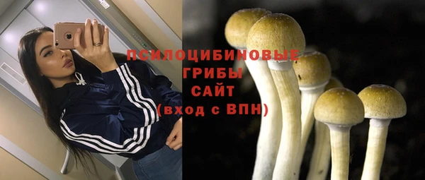 гашик Володарск