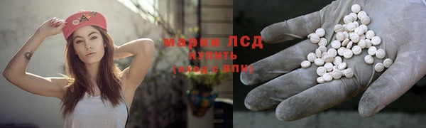 гашик Володарск