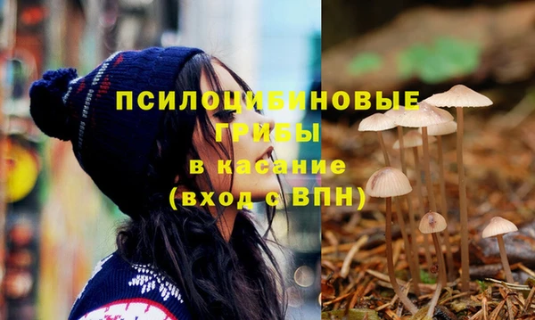 стафф Волосово