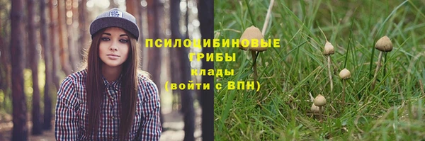 стафф Волосово