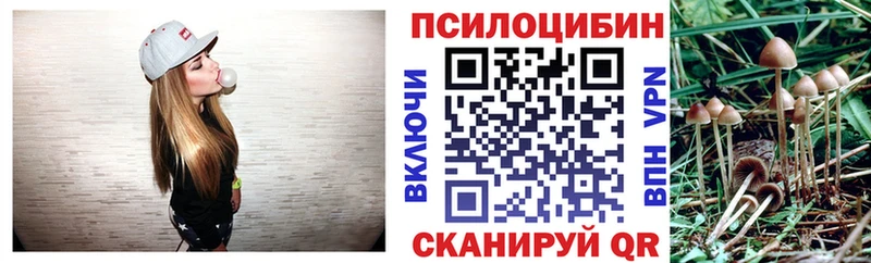Псилоцибиновые грибы Psilocybe  купить наркоту  Евпатория 